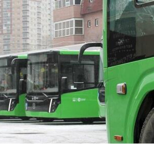 Тюмень получила 225 современных автобусов
