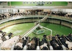 &laquo;Эконива&raquo; увеличивает производство. Итоги 2024 года