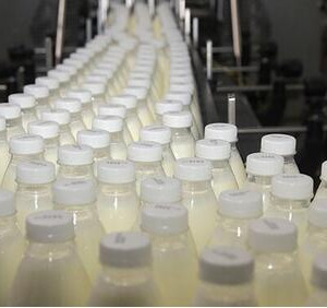 В&nbsp;Калужской области открылся новый молокозавод
