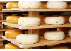 В&nbsp;подмосковной Лобне открыто новое предприятие по&nbsp;производству молочной продукции