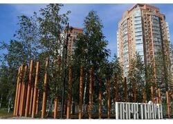 Сбер открыл в&nbsp;Хабаровске парк &laquo;Тайга&raquo; площадью 3,6 га на&nbsp;месте пустующего участка